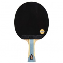 紅雙喜DHS H6星 成品拍 訓(xùn)練入門成品拍