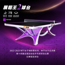 雙魚Doublefish 展翅王2代 標準乒乓球臺 大型比賽乒乓球桌 含網(wǎng)架