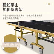雙魚Doublefish 266 專業(yè)乒乓球桌 可折疊移動式 乒乓球臺 黑色臺面