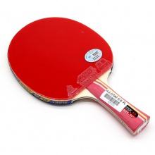 銀河Yinhe C02 成品拍 7層純木結(jié)構(gòu) 初學(xué)者練習(xí)球拍 雙面反膠