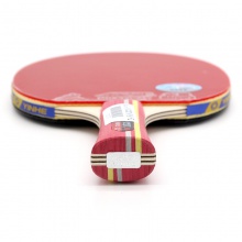 銀河Yinhe C02 成品拍 7層純木結(jié)構(gòu) 初學(xué)者練習(xí)球拍 雙面反膠