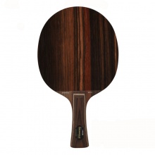 斯帝卡 黑檀5 EBENHOLZ NCT V 專業(yè)底板（郭躍，李曉霞，翟一鳴，江天一曾用）斯蒂卡專業(yè)底板