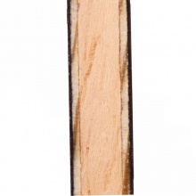 斯帝卡 黑檀5 EBENHOLZ NCT V 專業(yè)底板（郭躍，李曉霞，翟一鳴，江天一曾用）斯蒂卡專業(yè)底板