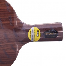 斯帝卡 INTENSITY CARBON（及強(qiáng)碳素）斯蒂卡專業(yè)底板