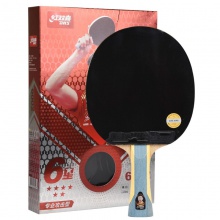 紅雙喜DHS H6星 成品拍 訓(xùn)練入門成品拍