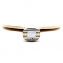 蝴蝶Butterfly 科貝爾（30271/20700)