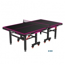 挺拔Tibhar 黑武士 輪式球臺(tái)球桌 國(guó)際大賽標(biāo)準(zhǔn)球臺(tái) 黑色臺(tái)面 4色可選