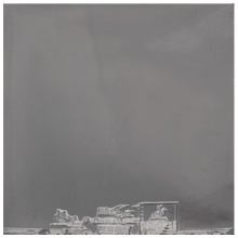 雙魚Doublefish 極星-P 專業(yè)粘性反膠套膠