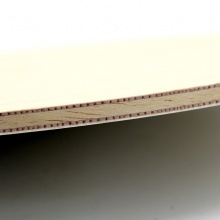 蝴蝶Butterfly HADRAW 5 【37181|37184|24160】 掌紋5 專業(yè)乒乓底板 5層純木結(jié)構(gòu)