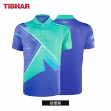 挺拔TIBHAR 致勝2.0 01101乒乓球服夏季透氣T恤短袖乒乓球運動服訓(xùn)練服