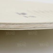 優(yōu)拉JOOLA 游俠 專業(yè)乒乓球拍底板 5+2內(nèi)置碳素結(jié)構(gòu)