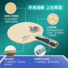 【送方形拍套】Sword世奧得 靈蛇獻瑞專業(yè)乒乓球拍底板5+2外置金芳碳結(jié)構(gòu)