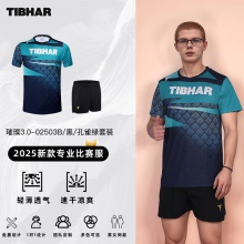 TIBHAR挺拔 璀璨3.0 02503乒乓球服夏季透氣T恤短袖乒乓球運動服訓(xùn)練服