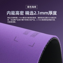 Sanwei三維國標(biāo)靶紫金王朝專業(yè)乒乓球膠皮內(nèi)能海綿粘性反膠套膠