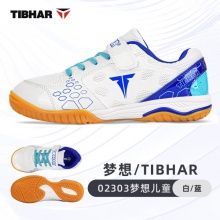 TIBHAR挺拔兒童乒乓球鞋夢(mèng)想02303比賽訓(xùn)練乒乓球?qū)Ｓ眠\(yùn)動(dòng)鞋男童牛筋底訓(xùn)練鞋 