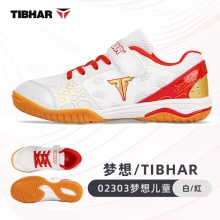TIBHAR挺拔兒童乒乓球鞋夢(mèng)想02303比賽訓(xùn)練乒乓球?qū)Ｓ眠\(yùn)動(dòng)鞋男童牛筋底訓(xùn)練鞋 