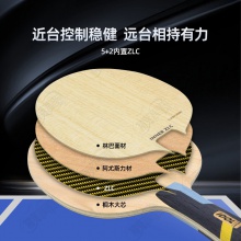【送三星球】卓隆&郗恩庭愛豆IDOL乒乓球拍底板內(nèi)置ZLC弧圈快攻型乒乓底板
