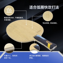 【送三星球】卓隆&郗恩庭愛豆IDOL乒乓球拍底板內(nèi)置ZLC弧圈快攻型乒乓底板