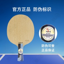 【送三星球】卓隆&郗恩庭樂章力量power乒乓球拍底板內(nèi)置ALC弧圈快攻型乒乓底板