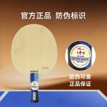 【送三星球】卓隆&郗恩庭樂章速度speed乒乓球拍底板外置ALC弧圈快攻型乒乓底板