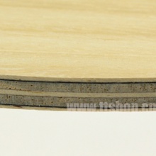 挺拔TIBHAR 薩姆碳皇SAMSONOV CARBON