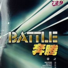 729 新款奔騰1 BATTLE