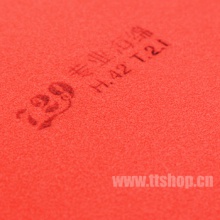 729 新款奔騰1 BATTLE