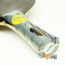 斯帝卡 鈦5.4WRB 斯蒂卡專業(yè)底板