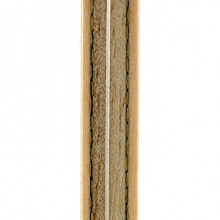 蝴蝶BUTTERFLY 蓋雷迪ZLC 23710