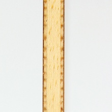 多尼克Donic  新款底板周雨一  橫拍FL33981/直拍22981 五層純木底板