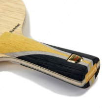 挺拔TIBHAR 專業(yè)底板 陳建安榮耀