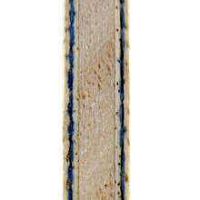 挺拔TIBHAR 專業(yè)底板 陳建安榮耀