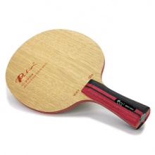 拍里奧Palio  專業(yè)底板 WAY 006