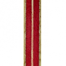 拍里奧Palio  專業(yè)底板 WAY 006