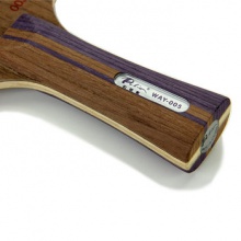 拍里奧Palio 專業(yè)底板 WAY 005