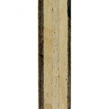 拍里奧Palio 專業(yè)底板 WAY 005