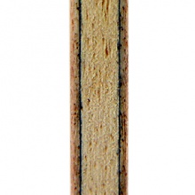 亞薩卡馬琳軟碳（YESC)