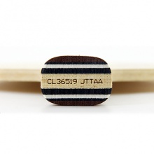 驕猛XIOM 終極煞EXTREME S