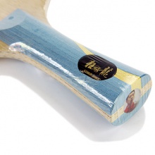 紅雙喜DHS 狂飚龍5 狂飆龍五無(wú)字版