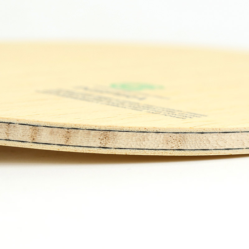 靈感碳素4 - 副本.jpg